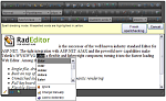 RadEditor