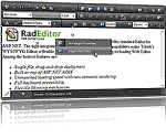 RadEditor