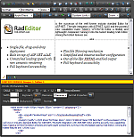 RadEditor
