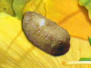 Sushi image